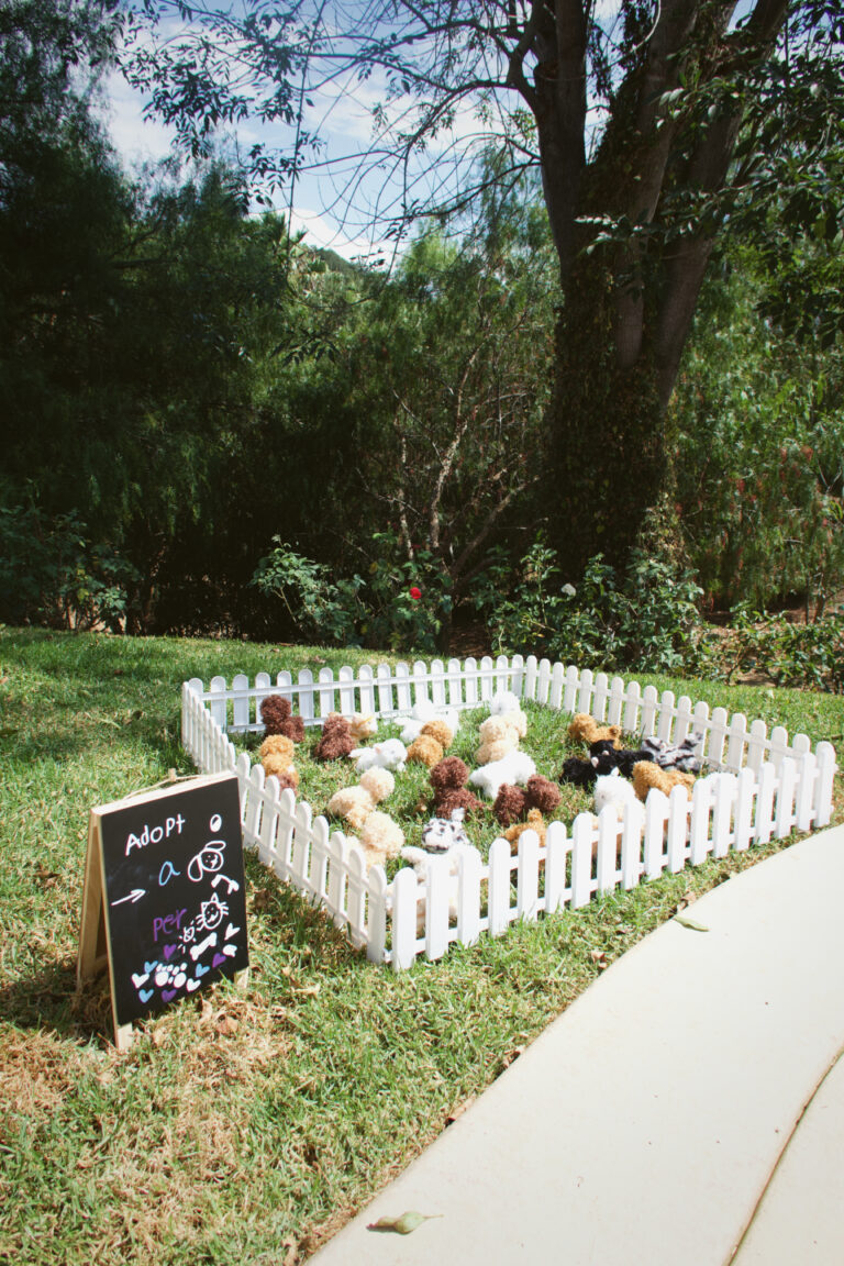 “Adopt-a-Pet Party, Easy How-To”